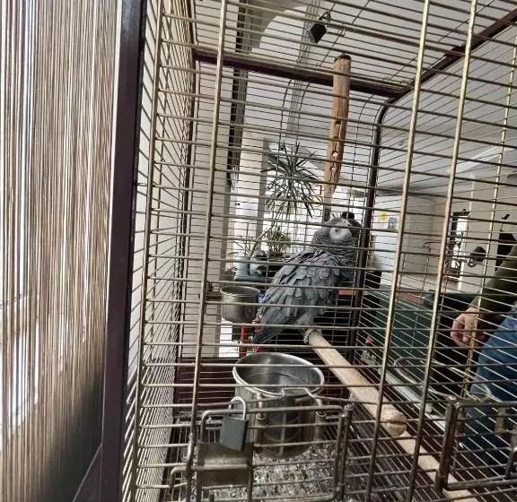 Fotos del hotel Topkap?:  7