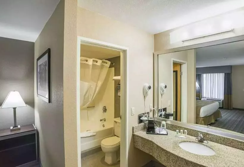 Fotos del hotel Quality Inn Phoenix North I17:  7