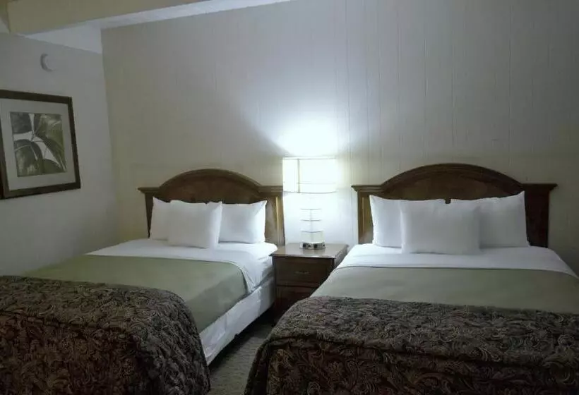 Fotos del hotel Rodeway Inn & Suites San Francisco  Great Highway:  16