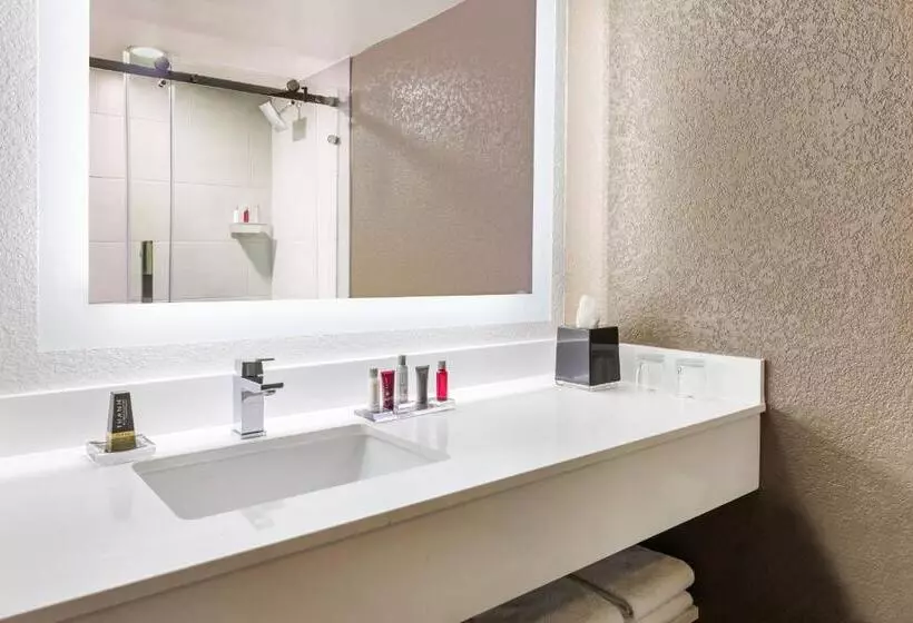 Fotos del hotel Marriott Orlando Airport Lakeside:  15