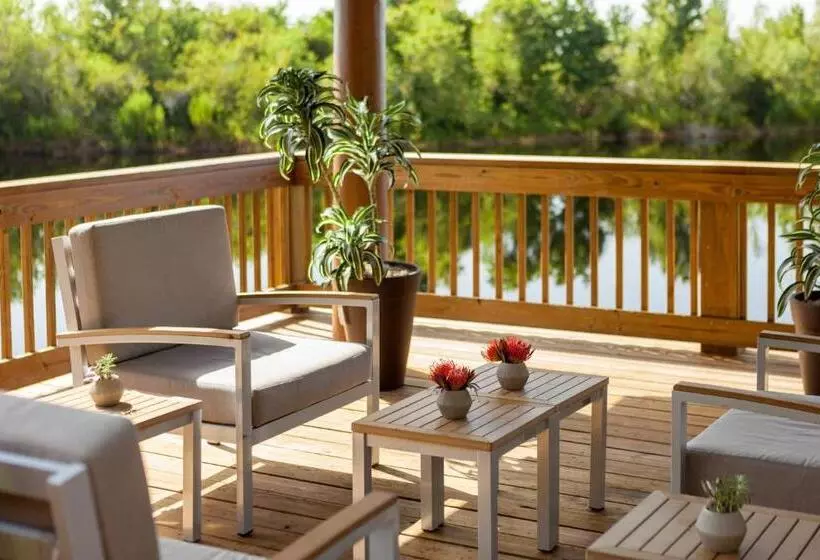 Fotos del hotel Marriott Orlando Airport Lakeside:  5