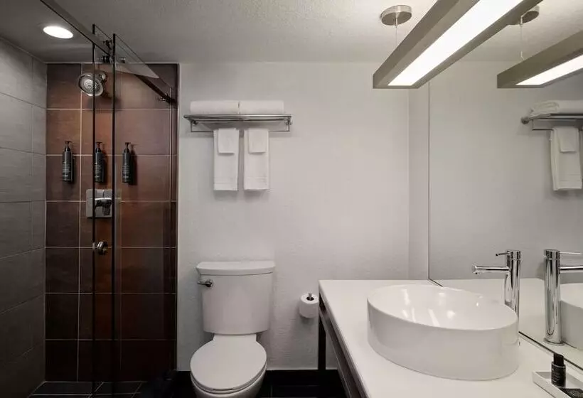 Fotos del hotel Aloft Miami Dadeland:  6