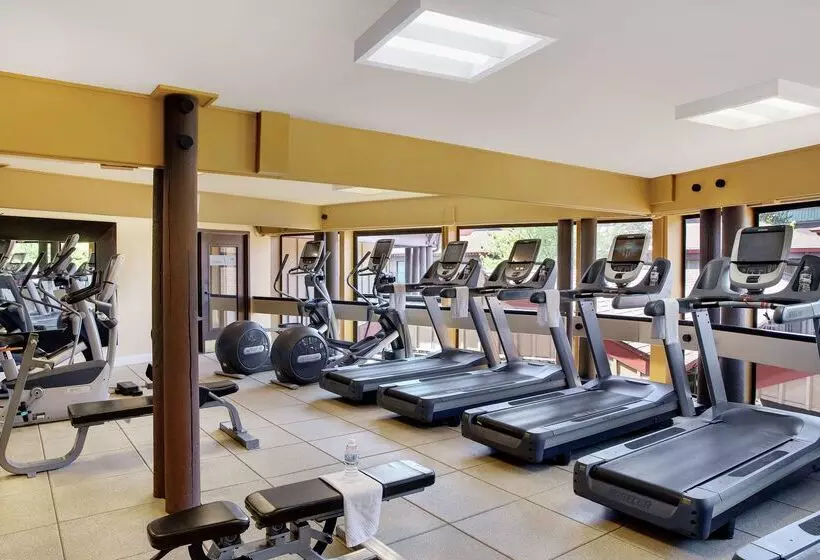 Fotos del hotel Doubletree By Hilton Seattle Airport:  3