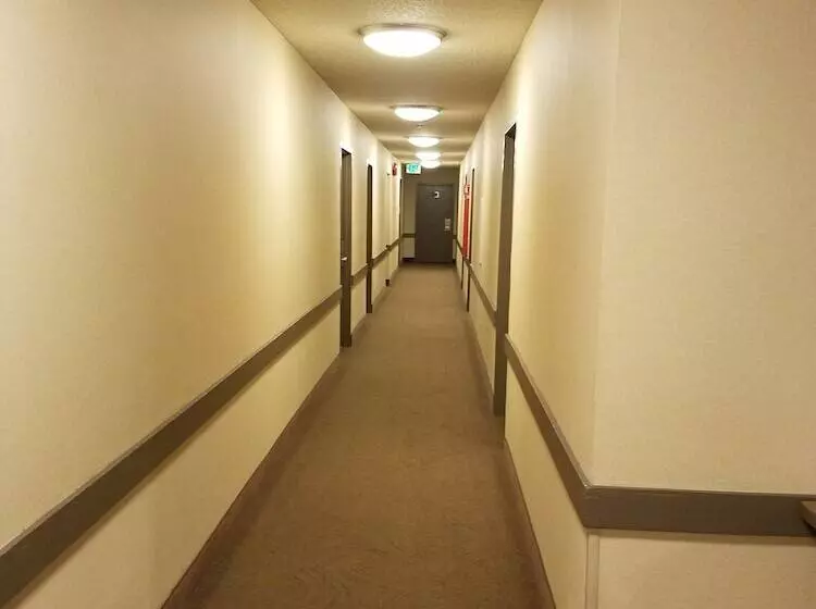 Fotos del hotel Travelodge By Wyndham San Francisco Bay:  4