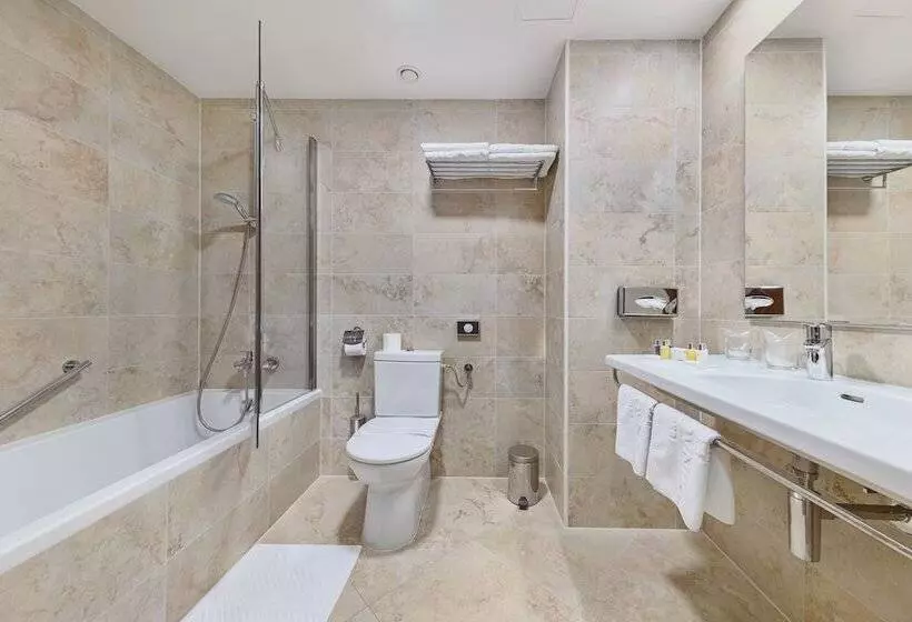 Fotos del hotel Dubrovnik:  13