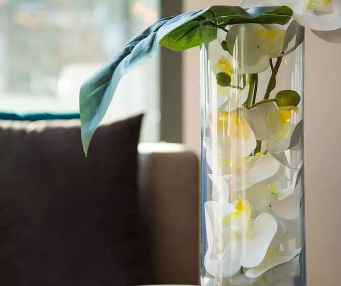 Fotos del hotel Dc  International:  17