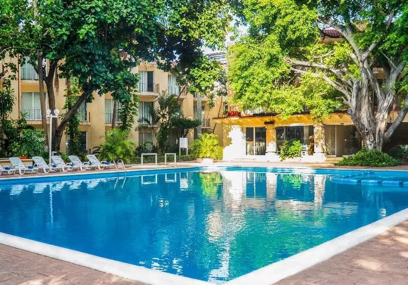 Fotos del hotel Viva Villahermosa:  3