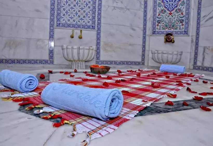 Fotos del hotel Akgun Istanbul:  60