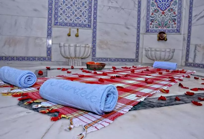 Fotos del hotel Akgun Istanbul:  15