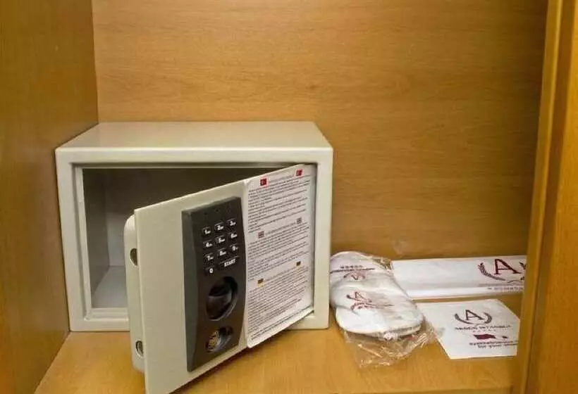 Fotos del hotel Akgun Istanbul:  42