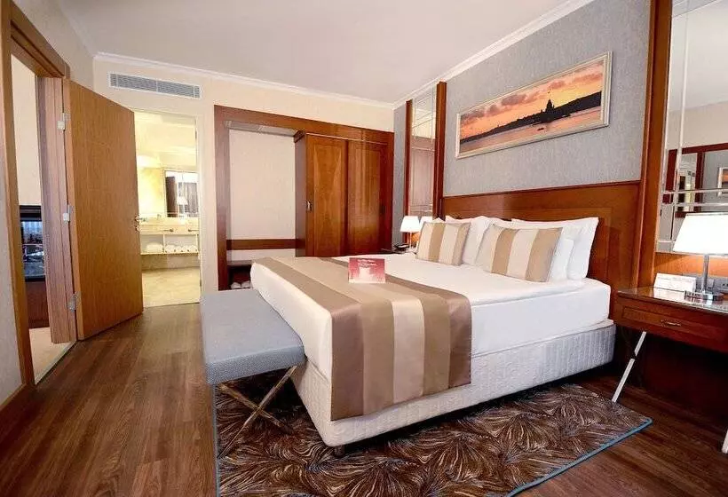 Fotos del hotel Akgun Istanbul:  6