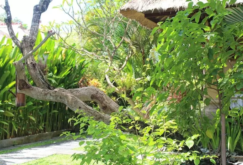 Fotos del hotel Bali Agung Village:  11
