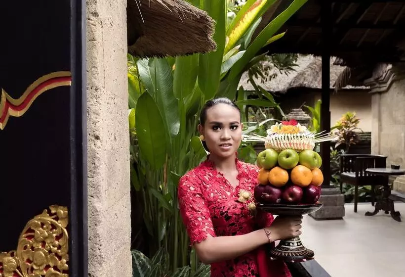 Fotos del hotel Bali Agung Village:  14