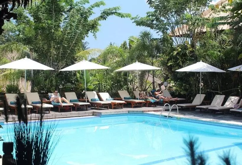 Fotos del hotel Bali Agung Village:  13