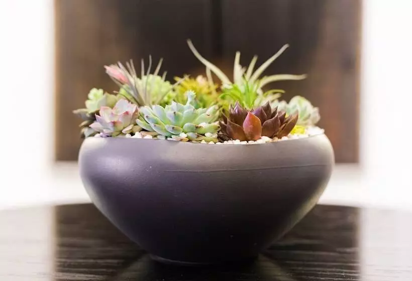 Fotos del hotel Harbor Court Hotel:  3