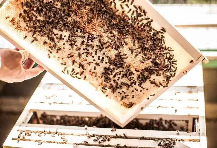 Fotos del hotel Atlantic Hotel Airport:  8