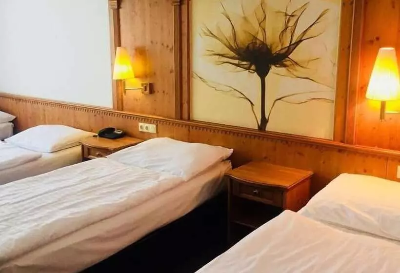 Fotos del hotel Braník:  6