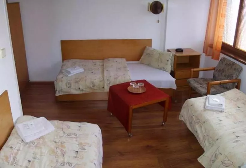 Fotos del hotel Slovan:  4