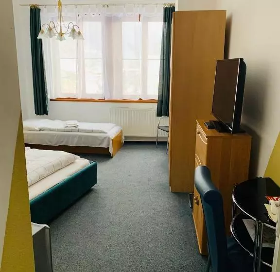 Fotos del hotel Slovan:  15