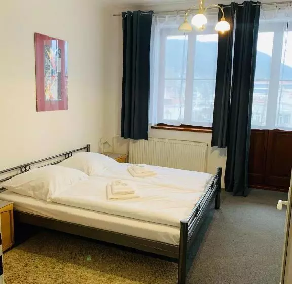 Fotos del hotel Slovan:  24