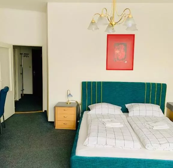 Fotos del hotel Slovan:  13