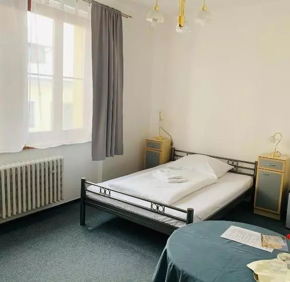 Fotos del hotel Slovan:  10