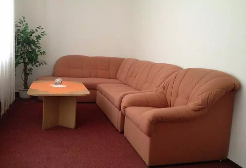 Fotos del hotel Slovan:  7