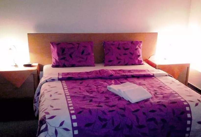 Fotos del hotel Slovan:  8