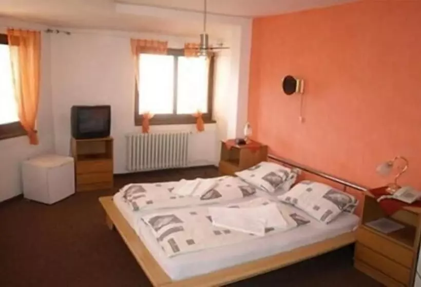 Fotos del hotel Slovan:  18