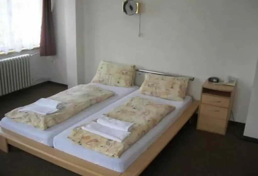 Fotos del hotel Slovan:  19