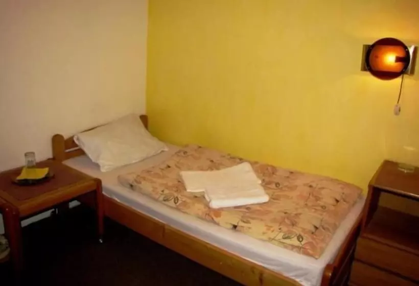 Fotos del hotel Slovan:  20