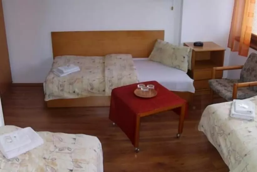 Fotos del hotel Slovan:  12