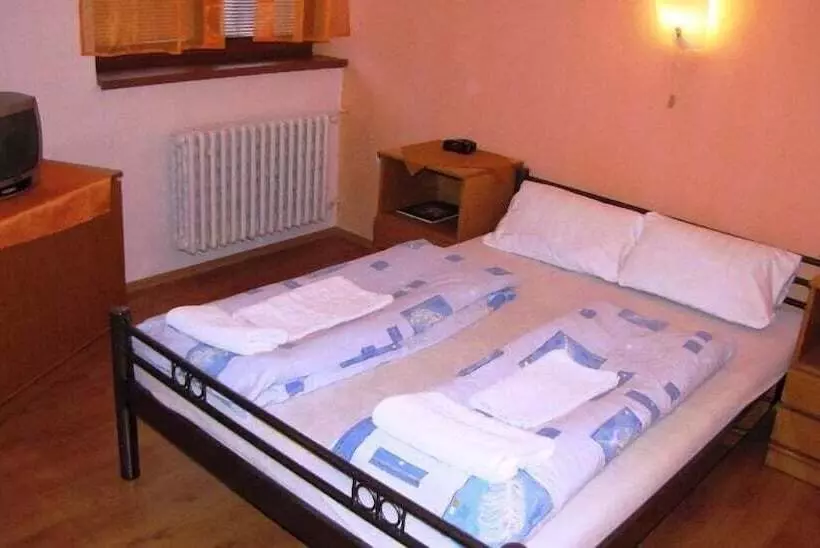 Fotos del hotel Slovan:  23