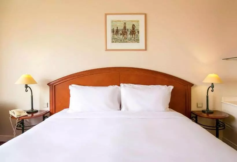 Fotos del hotel Pullman Bucharest:  22