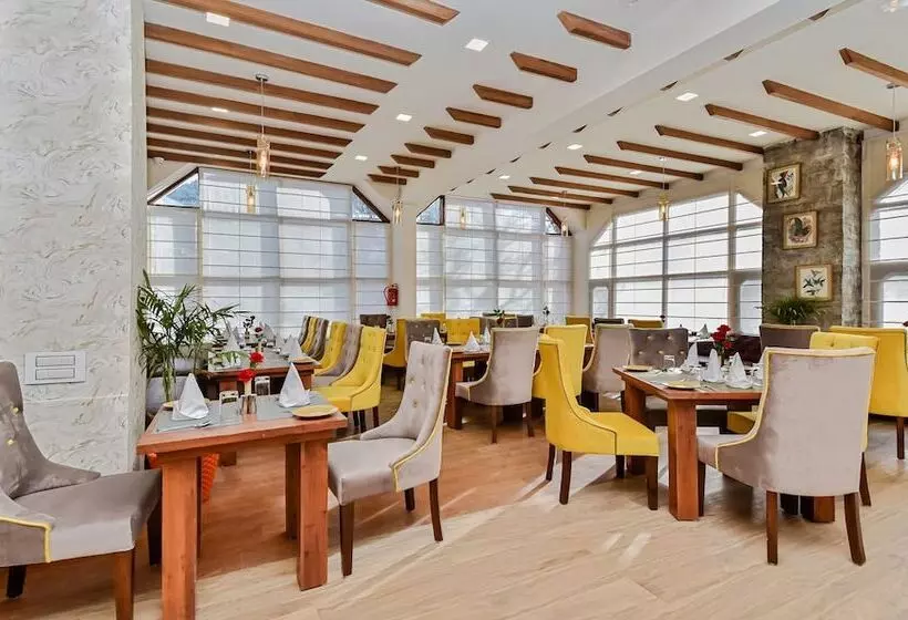 Fotos del hotel Snowcrests Manor:  12