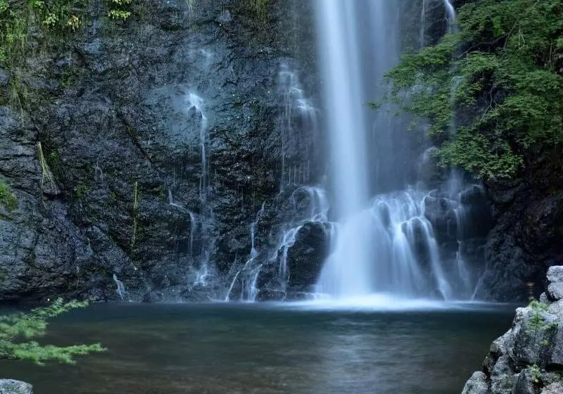 Fotos del hotel The Westin Osaka:  11