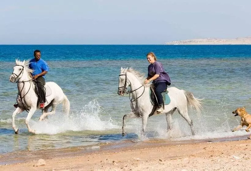 Fotos del hotel Mercure Hurghada:  7