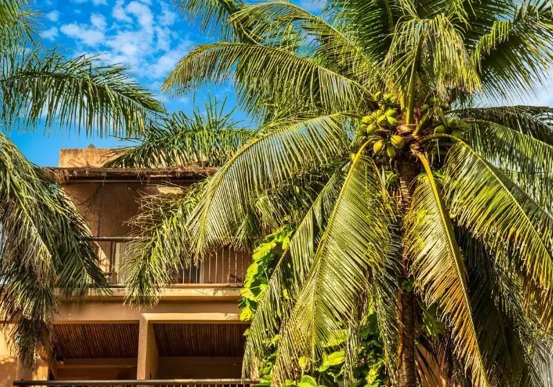 Fotos del hotel Tukan Hotel & Beach Club:  1