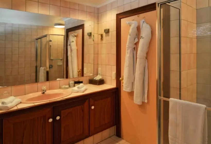 Fotos del hotel Lake Taupo Lodge:  9