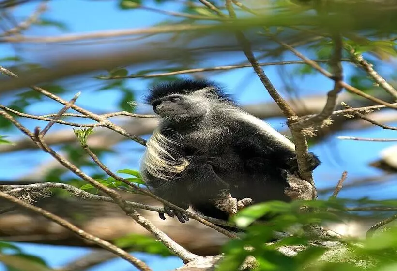 Fotos del hotel Pinewood Beach Resort And Spa:  11