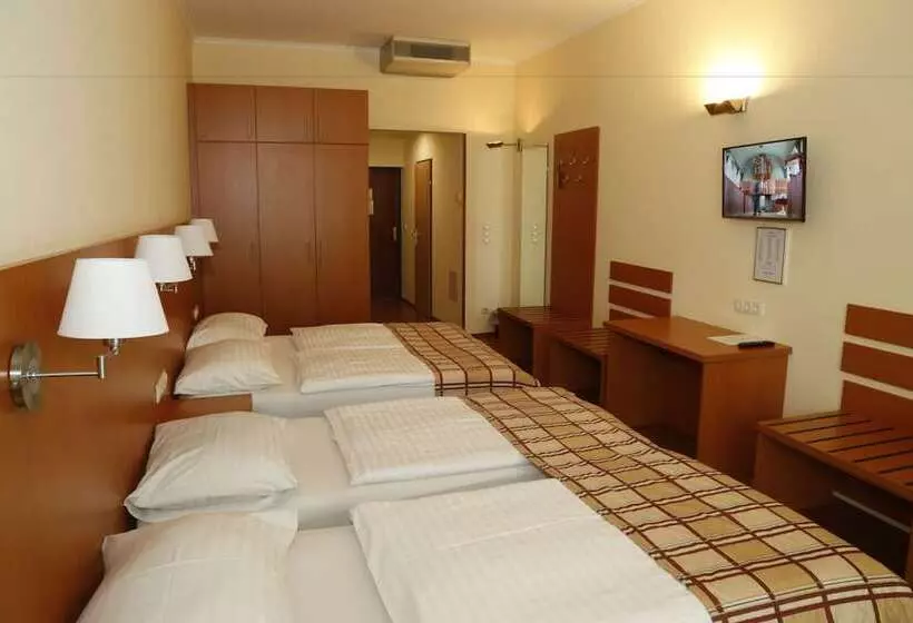 Fotos del hotel Continental Hotelpension:  20