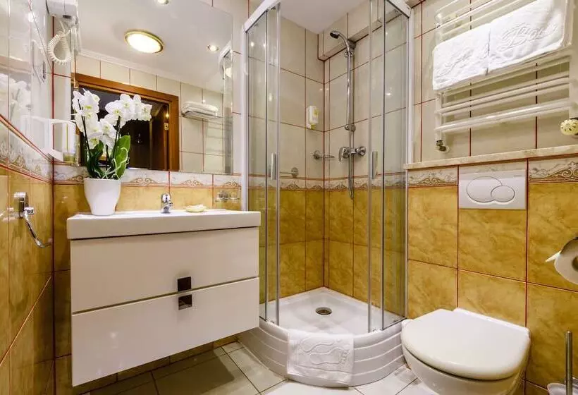 Fotos del hotel Boss:  16