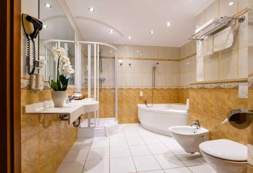 Fotos del hotel Boss:  8