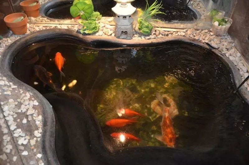 Fotos del hotel La Residence Du Voyageur:  4