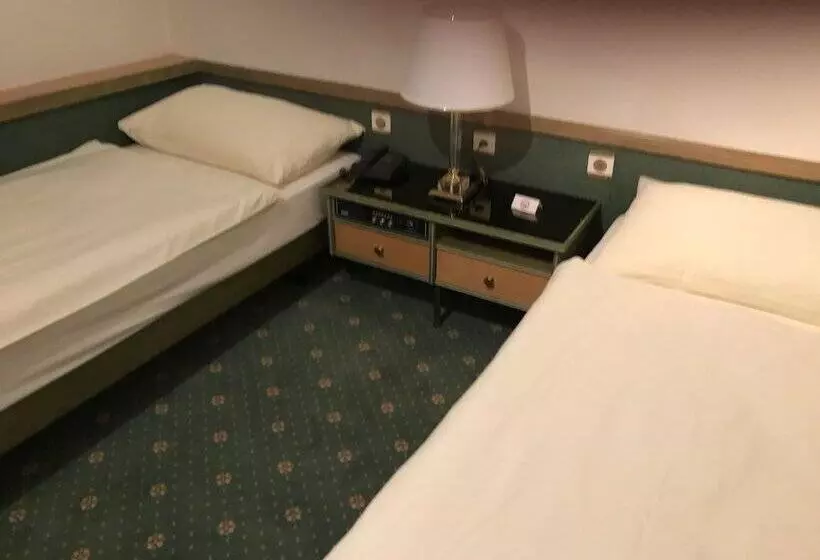 Fotos del hotel Arlette Beim Hauptbahnhof:  18