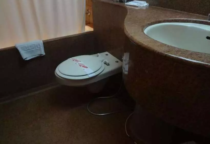 Fotos del hotel Midtown Pritam:  15