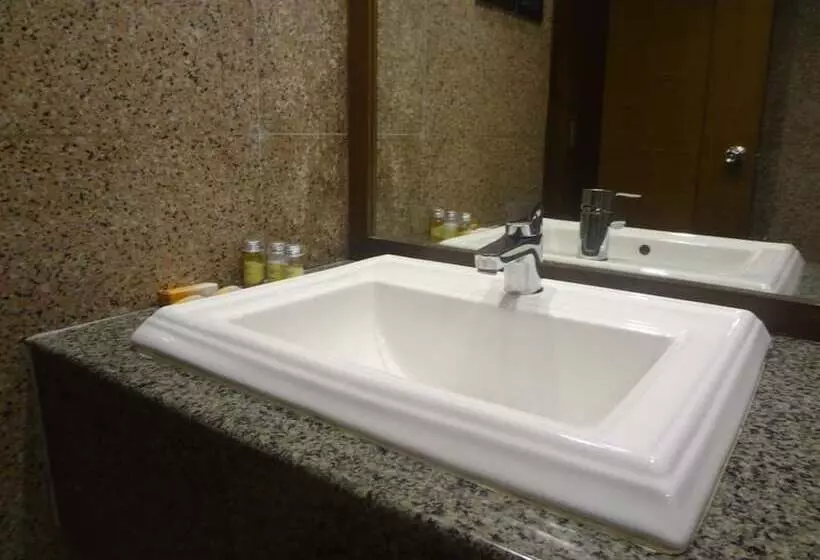 Fotos del hotel Midtown Pritam:  8