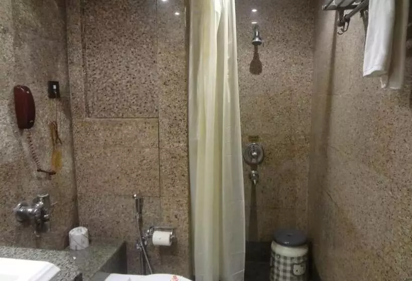 Fotos del hotel Midtown Pritam:  11