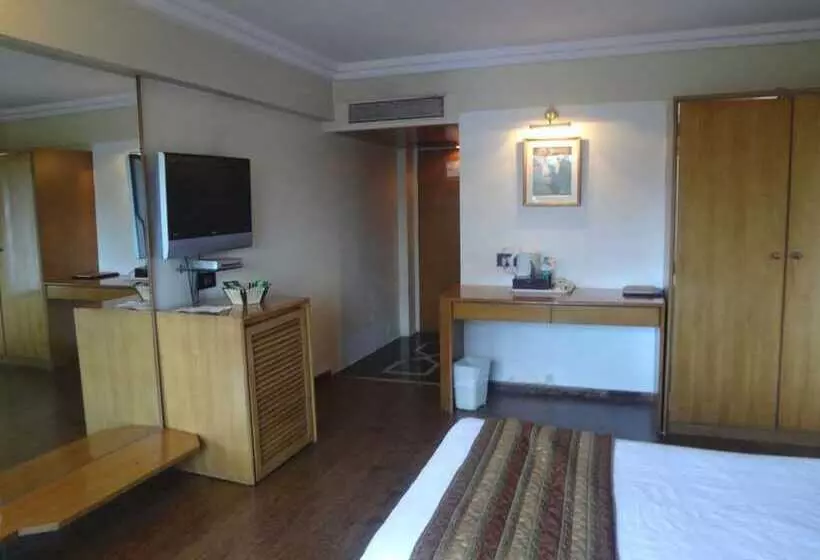 Fotos del hotel Midtown Pritam:  6