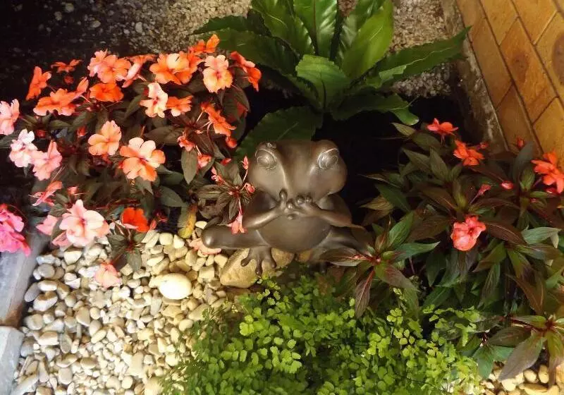 Fotos del hotel Ocean View Motor Inn Merimbula:  3